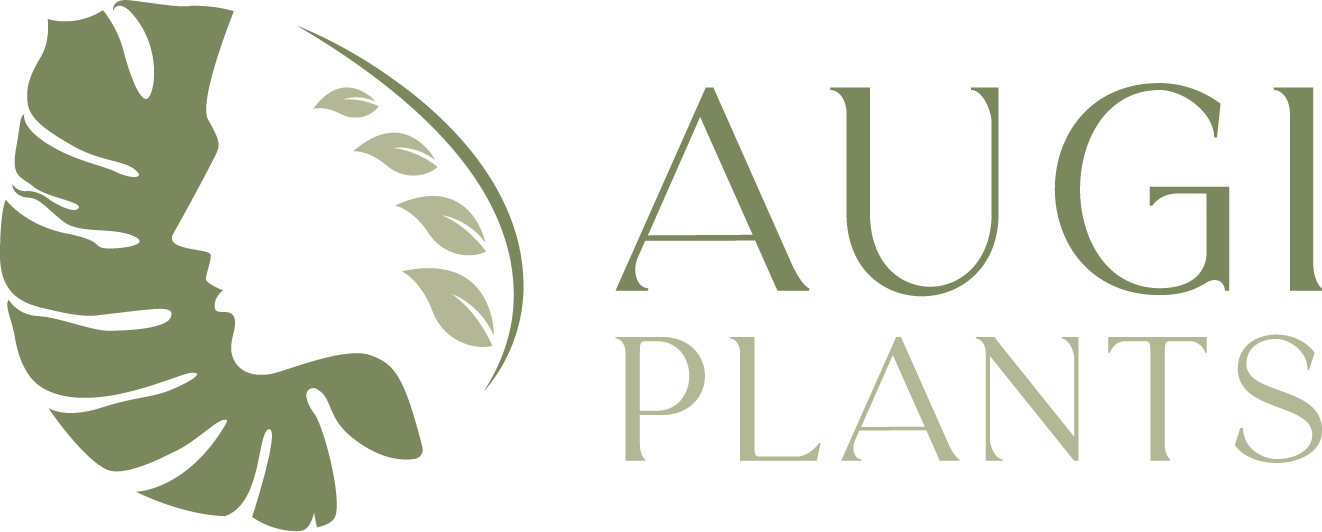 Augi-Plants