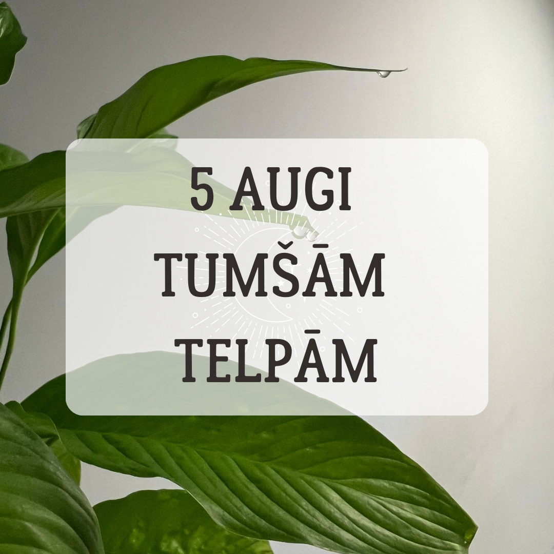 5 TELPAUGI TUMŠĀM TELPĀM