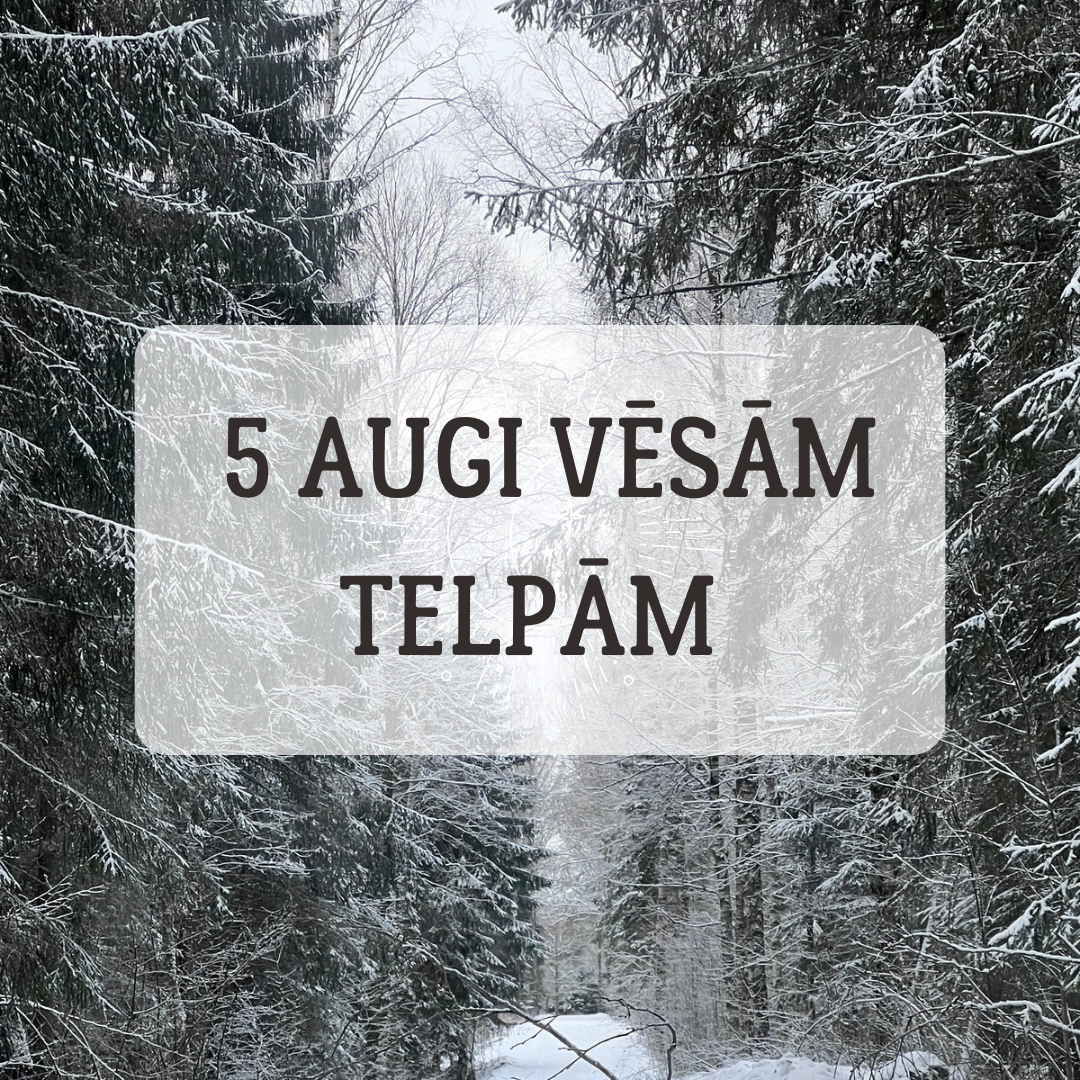 5 TELPAUGI VĒSĀM TELPĀM