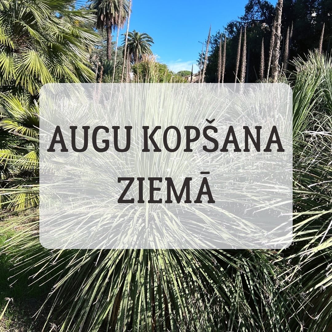 TELPAUGU KOPŠANA ZIEMĀ - www.augi-plants.lv