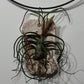 Gaisa augs Tillandsia Air plant 4