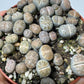 Lithops 1