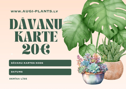 Dāvanu karte - www.augi - plants.lv